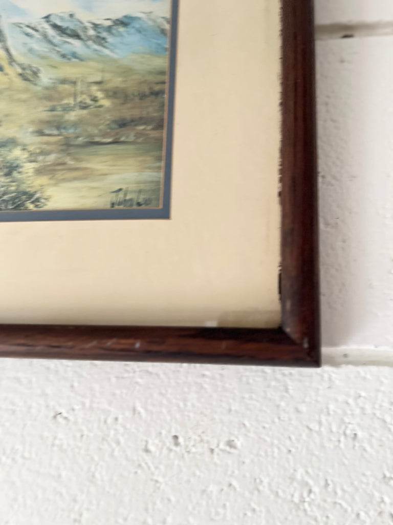 Framed California Desert Sanctuary Print