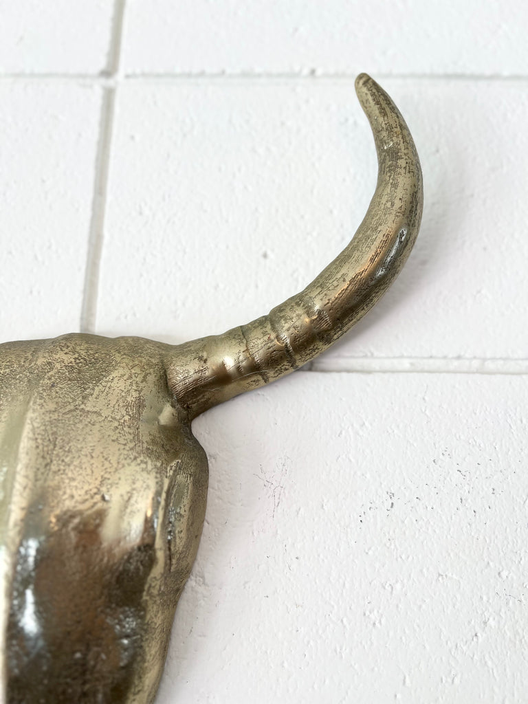 Western Longhorn Brass Skull Wall Hanging Decor