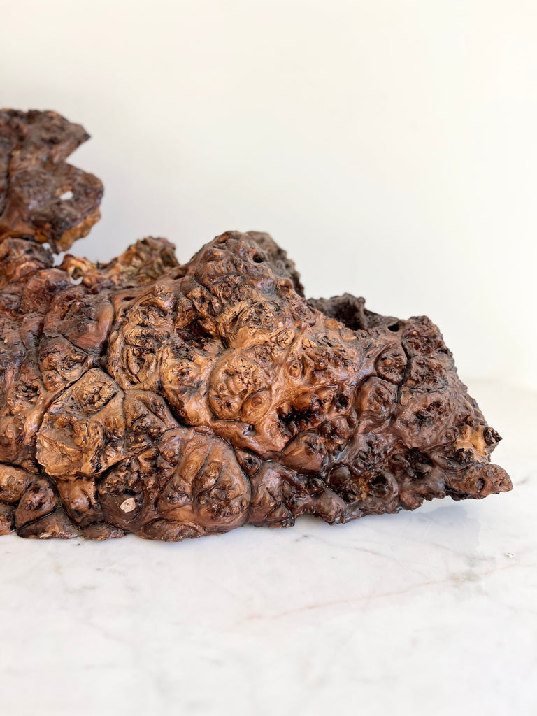 Antique Scholar Rock Centerpiece