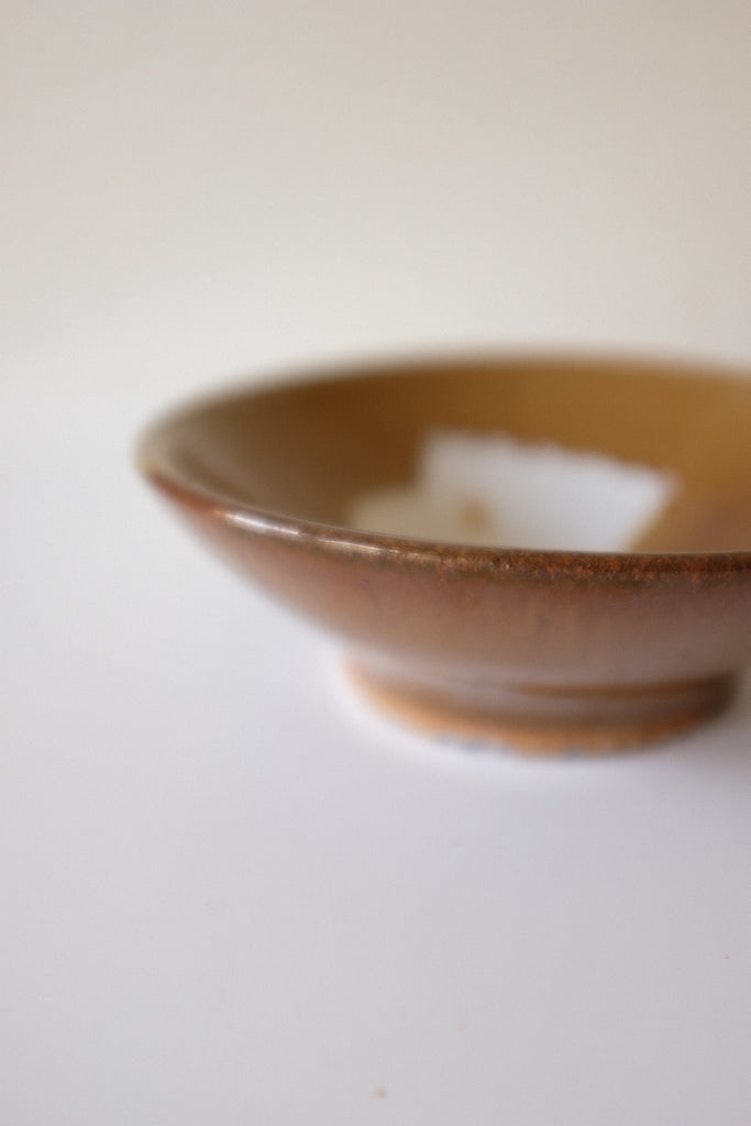 Natural Style Earth Tone Ceramic Dish