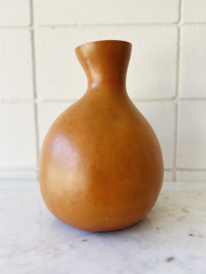 Recycled Organic Gourd Vase