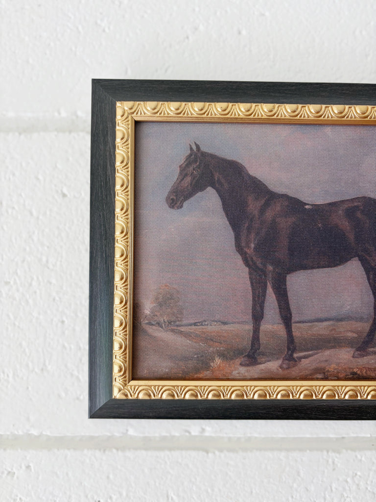 Stallion Print Artwork