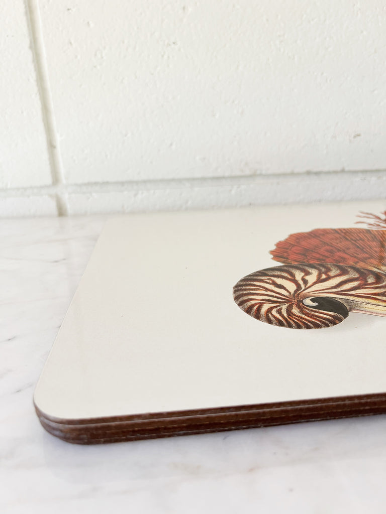 Seashell Coral Hardboard Placemats Set of 4