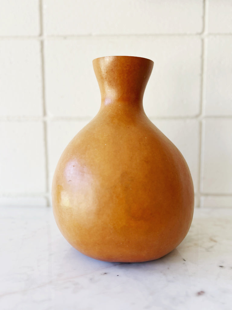 Recycled Organic Gourd Vase