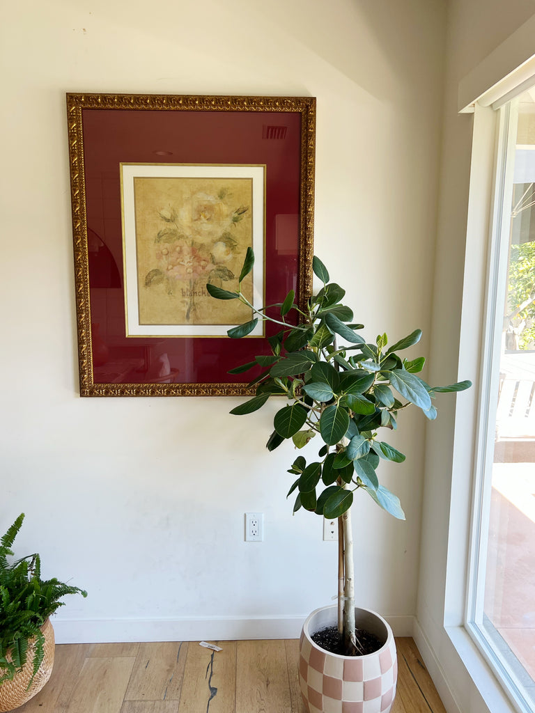 French Floral Blanche Fine Print