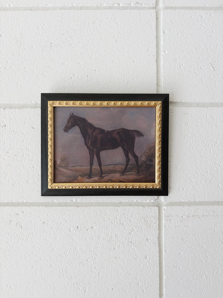Stallion Print Artwork