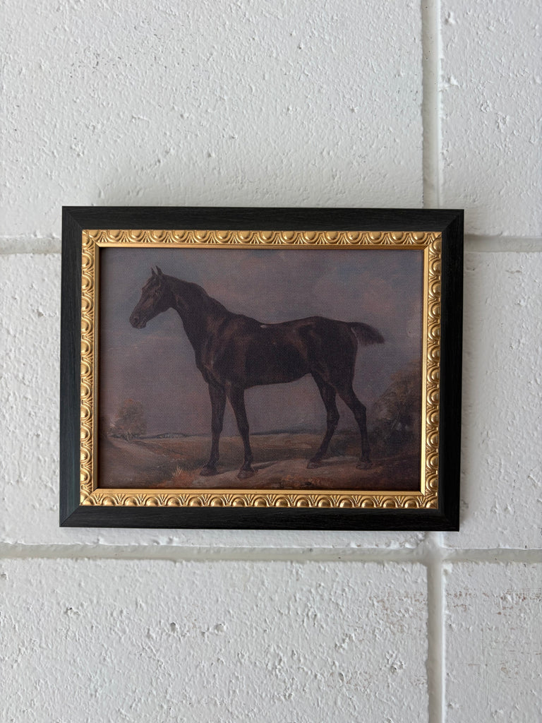 Stallion Print Artwork