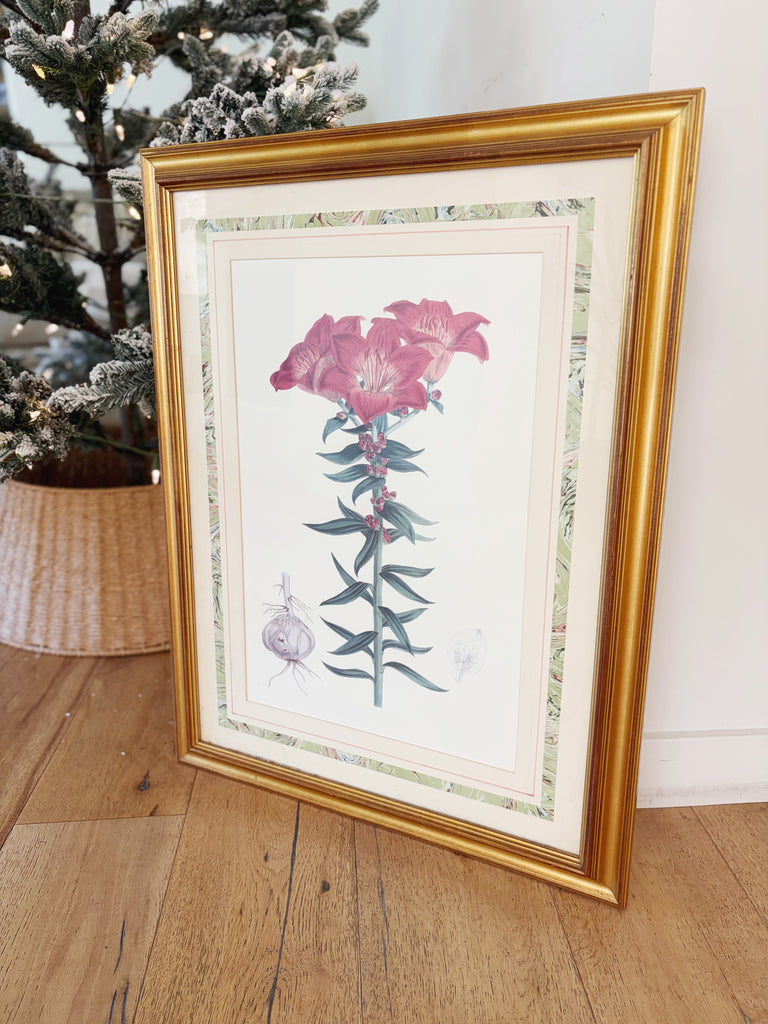 Framed Vintage Botanical Lithograph Print