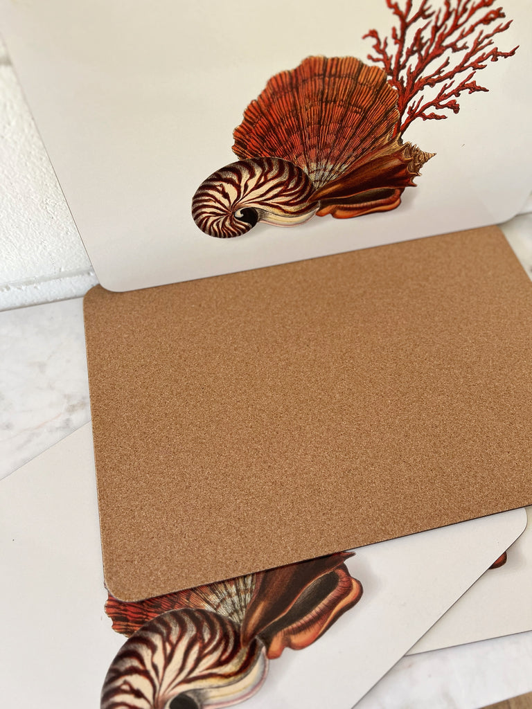 Seashell Coral Hardboard Placemats Set of 4