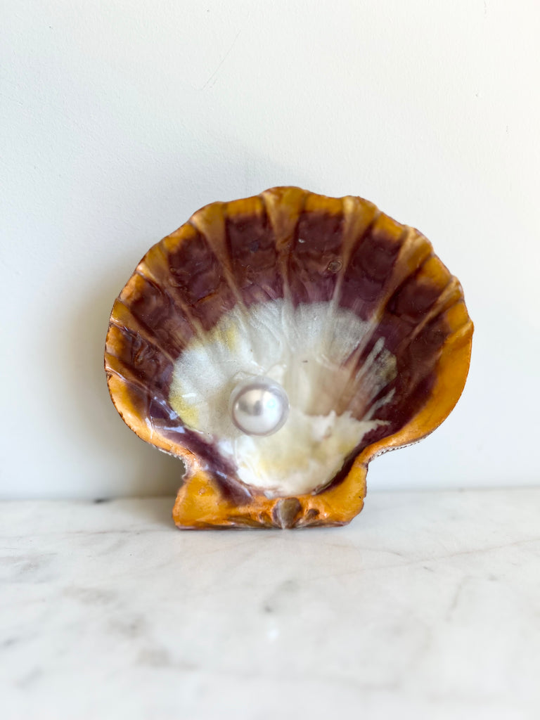 Casted Pearl in Clam Shell Pair