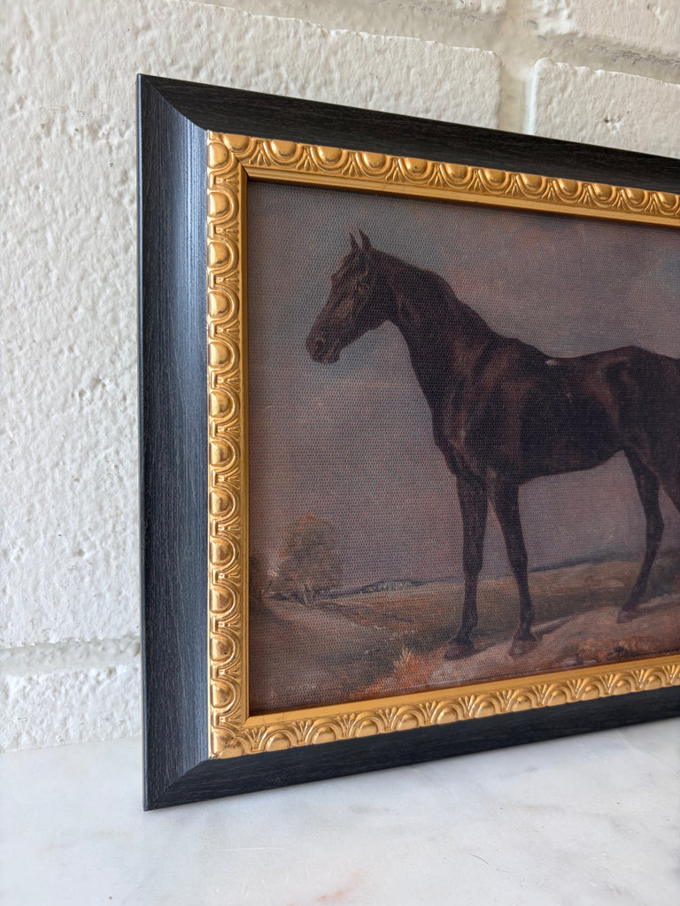 Stallion Print Artwork