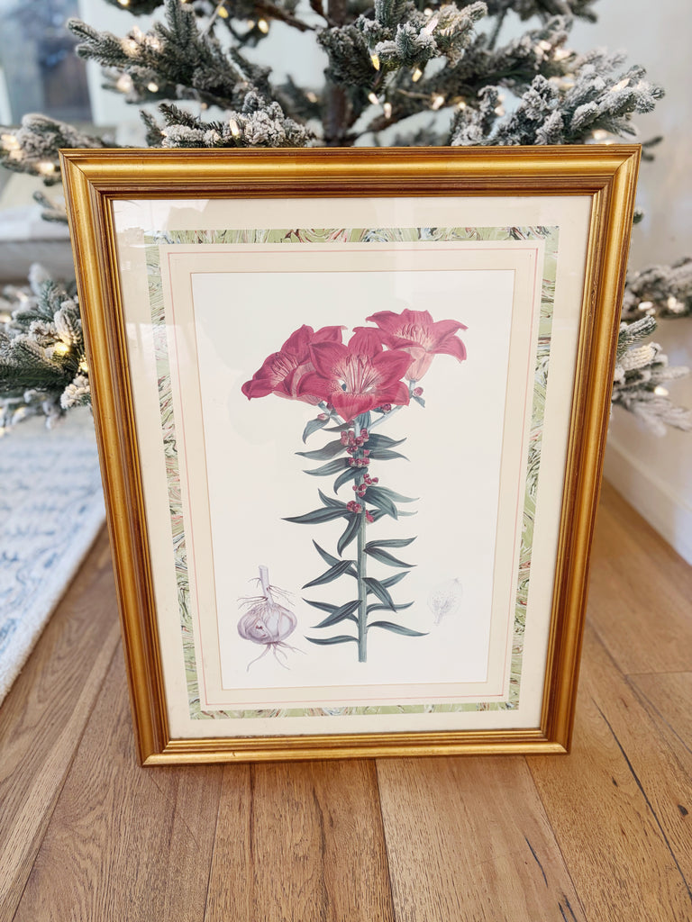 Framed Vintage Botanical Lithograph Print