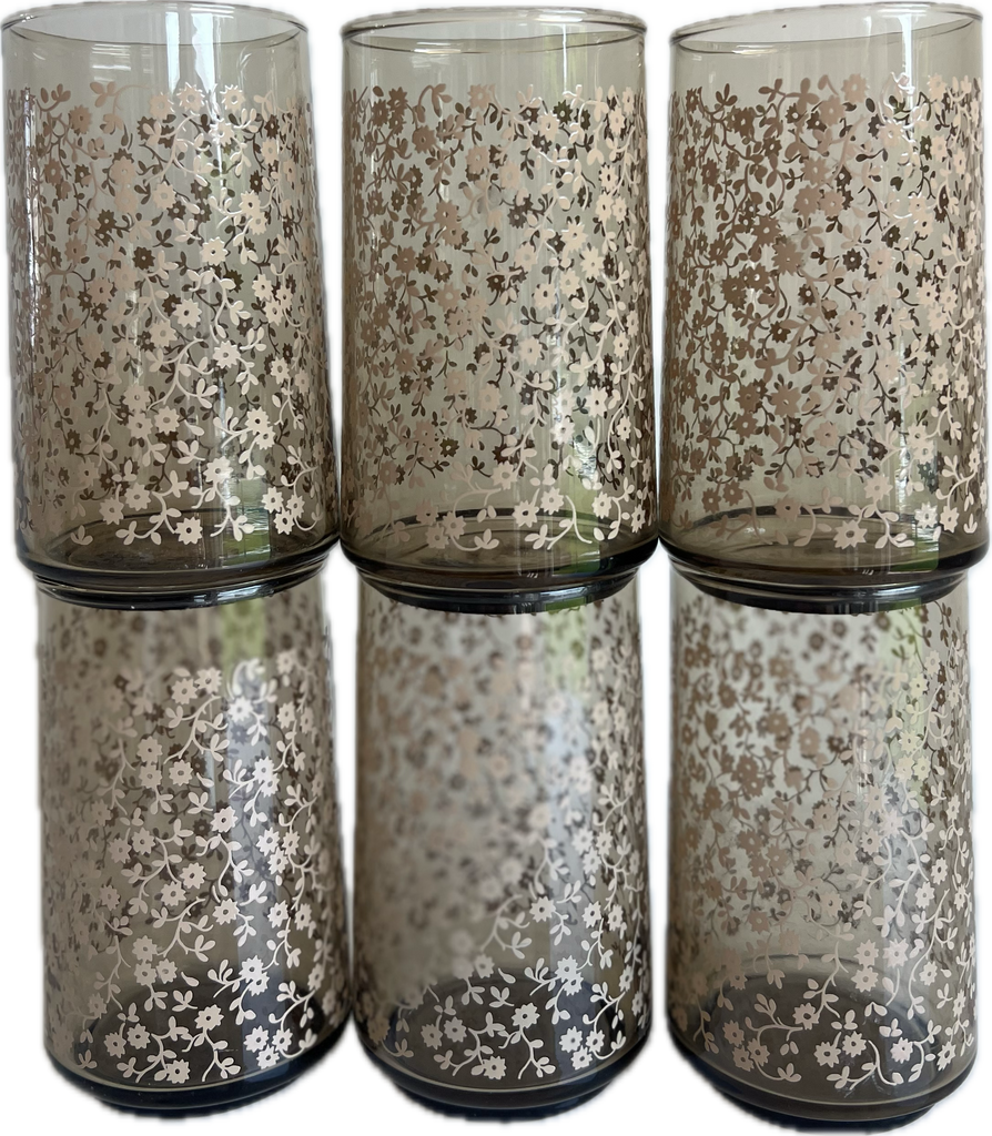 Vintage Floral Tumbler Glassware Set of 6