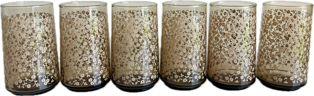 Vintage Floral Tumbler Glassware Set of 6