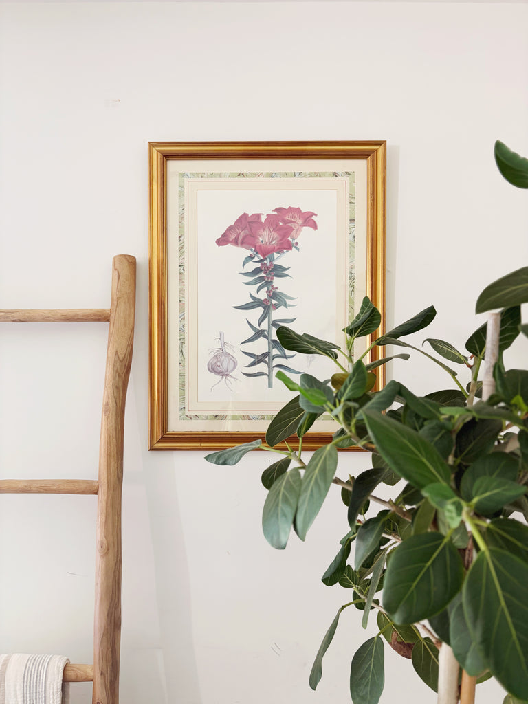 Framed Vintage Botanical Lithograph Print