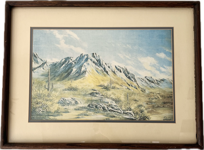 Framed California Desert Sanctuary Print