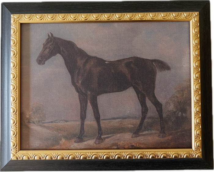Stallion Print Artwork