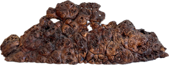 Antique Scholar Rock Centerpiece