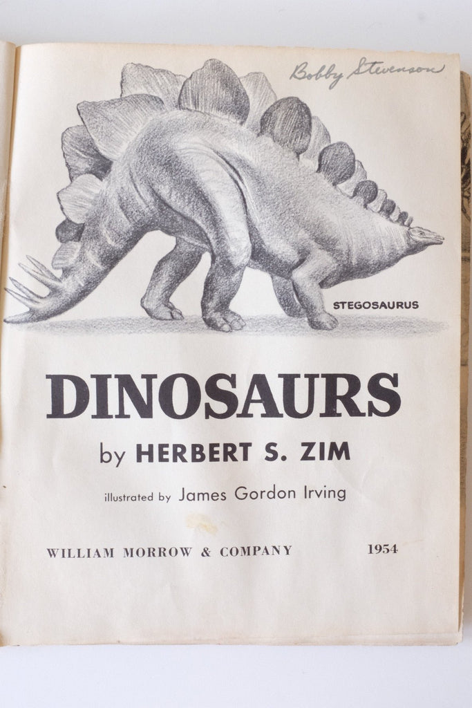 "Dinosaurs" Children's Book