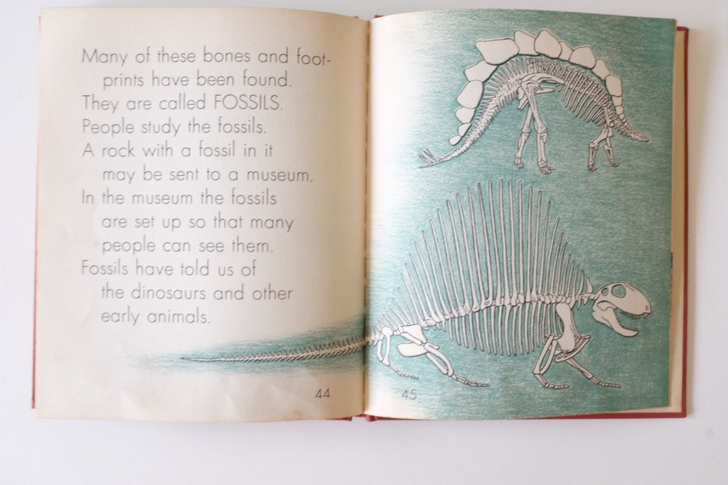 "The True Book of Dinosaurs" by Mary Lou Clark Hardcover