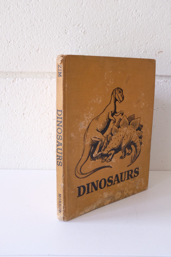 "Dinosaurs" Children's Book